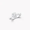 Graff Laurence Signature Diamond Ring^ Round|For Her