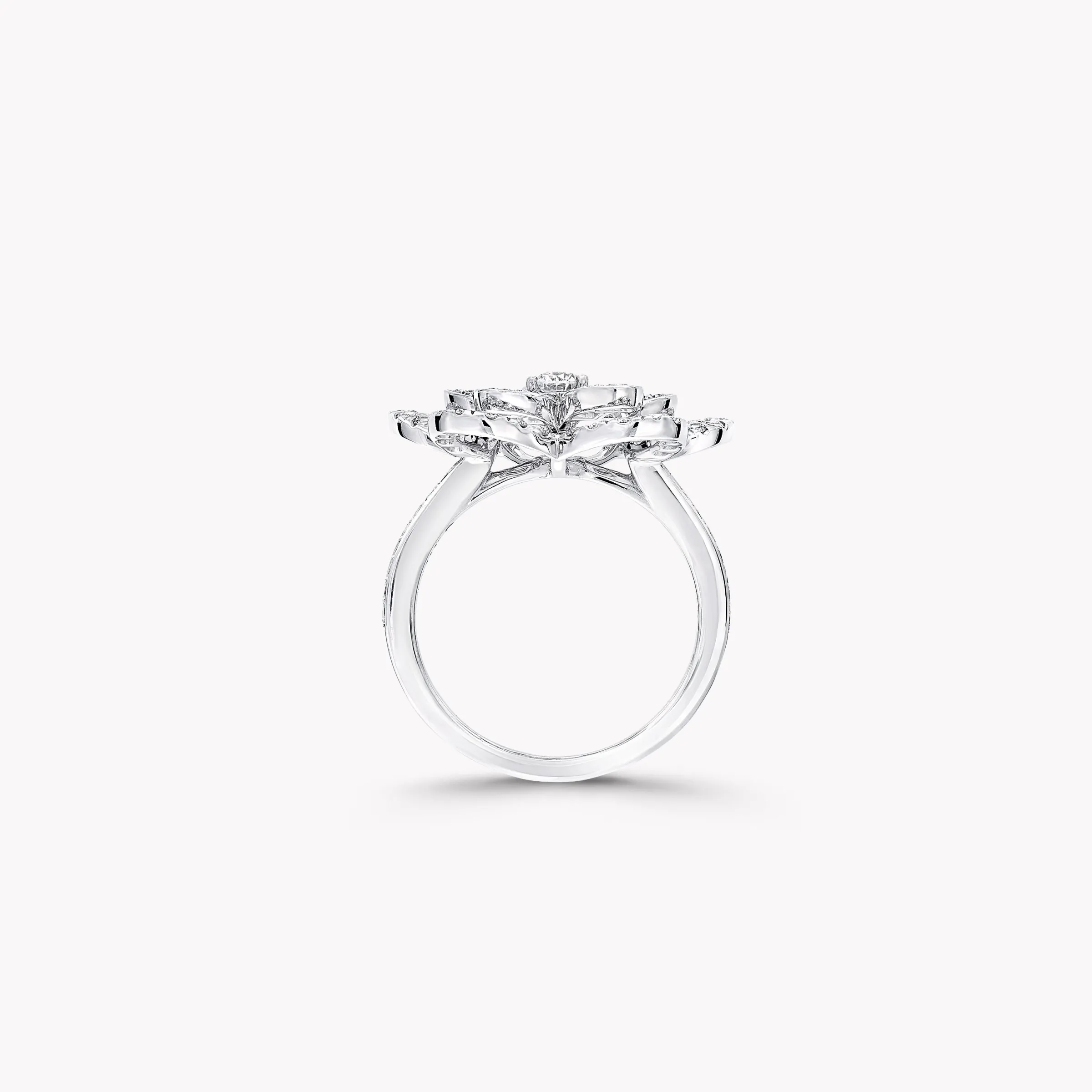 Graff Wild Flower Large Diamond Ring^ White Gold|Wild Flower