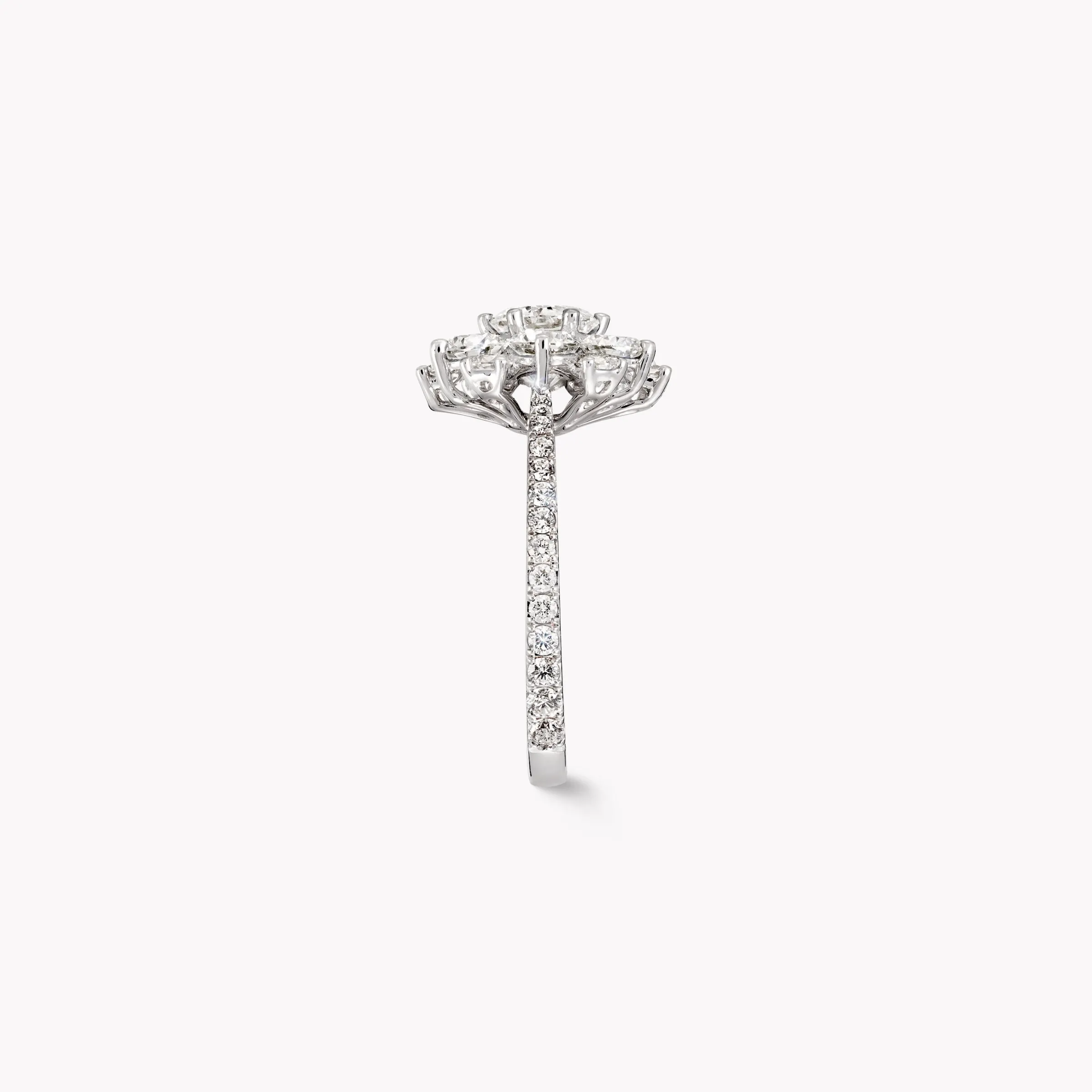 Graff Round Diamond Cluster Ring^ White Diamond|Classic Graff
