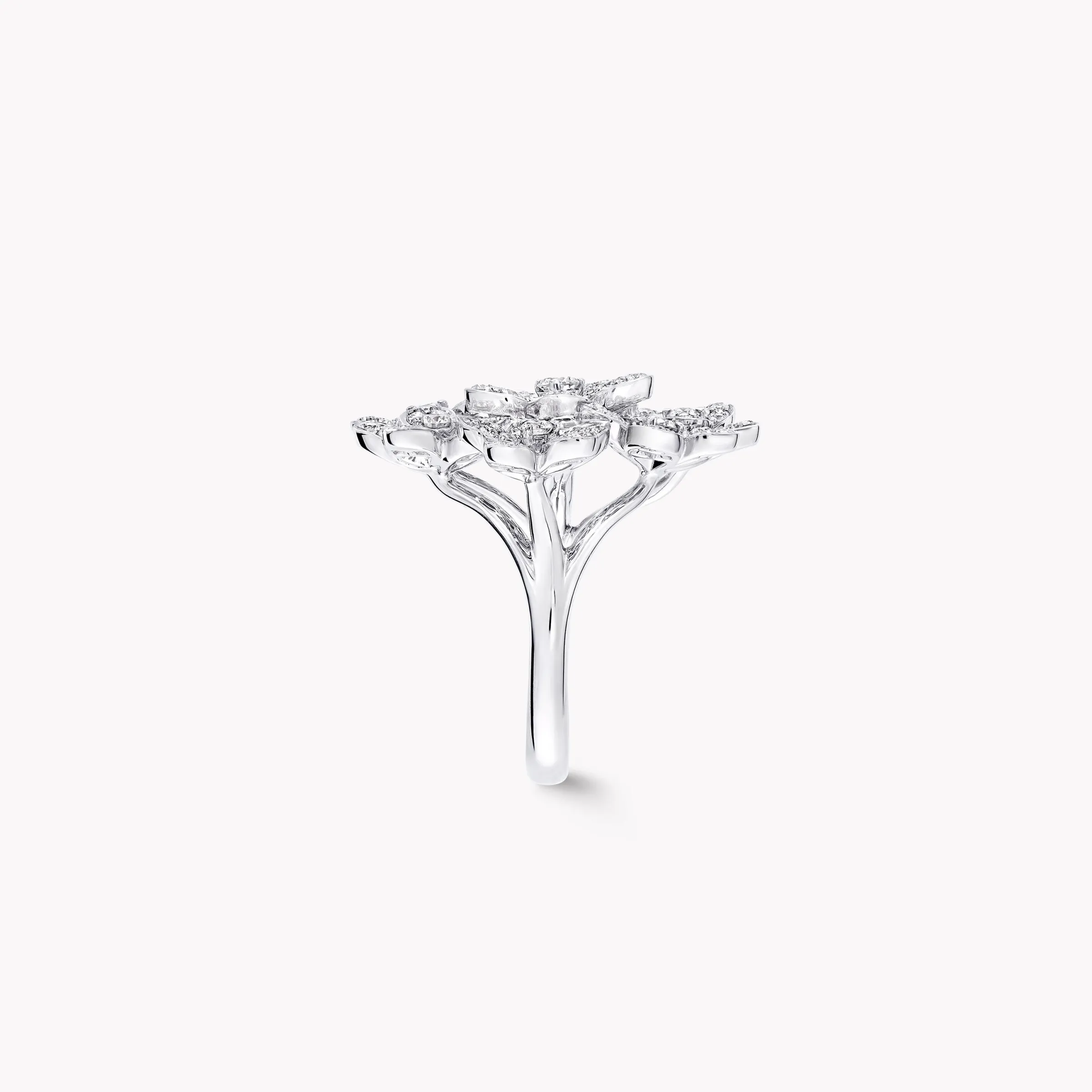 Graff Wild Flower Large Diamond Cluster Ring^ Wild Flower|Rings