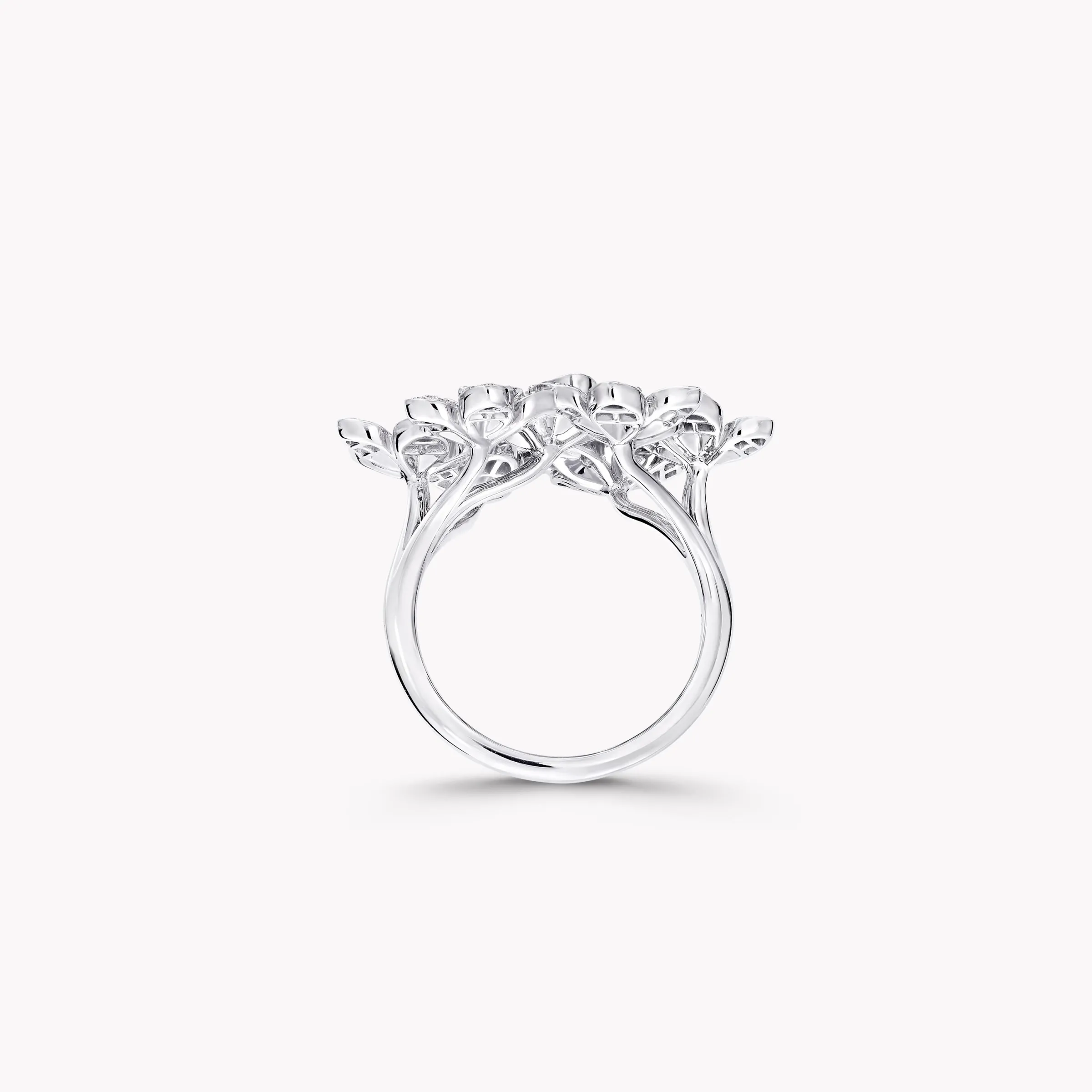 Graff Wild Flower Large Diamond Cluster Ring^ Wild Flower|Rings