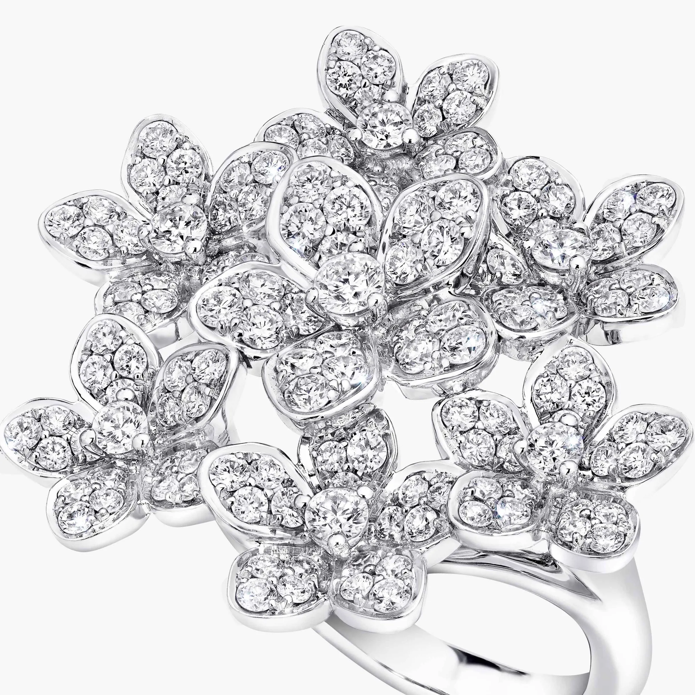 Graff Wild Flower Large Diamond Cluster Ring^ Wild Flower|Rings