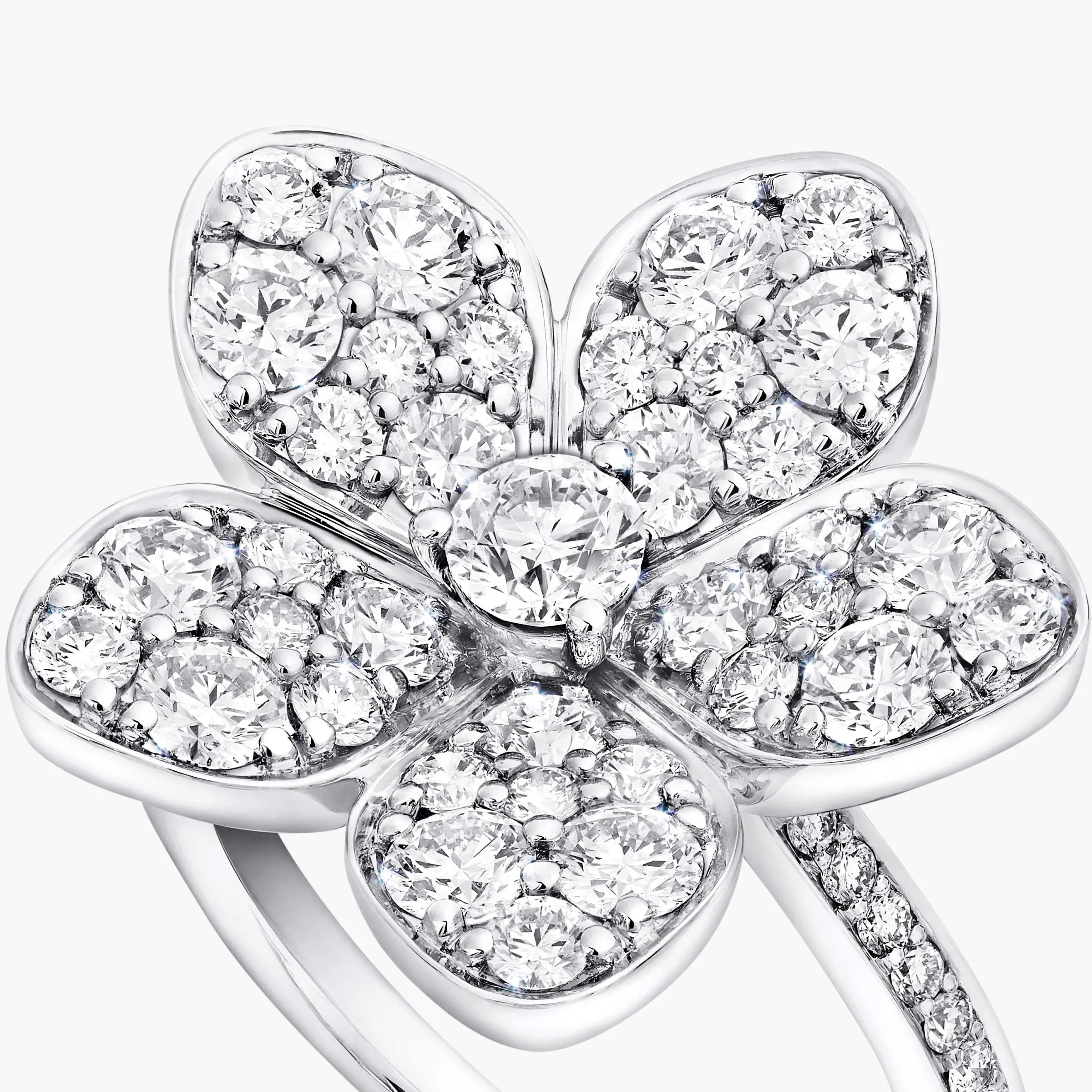 Graff Wild Flower Large Pavé Diamond Ring^ Wild Flower|Rings