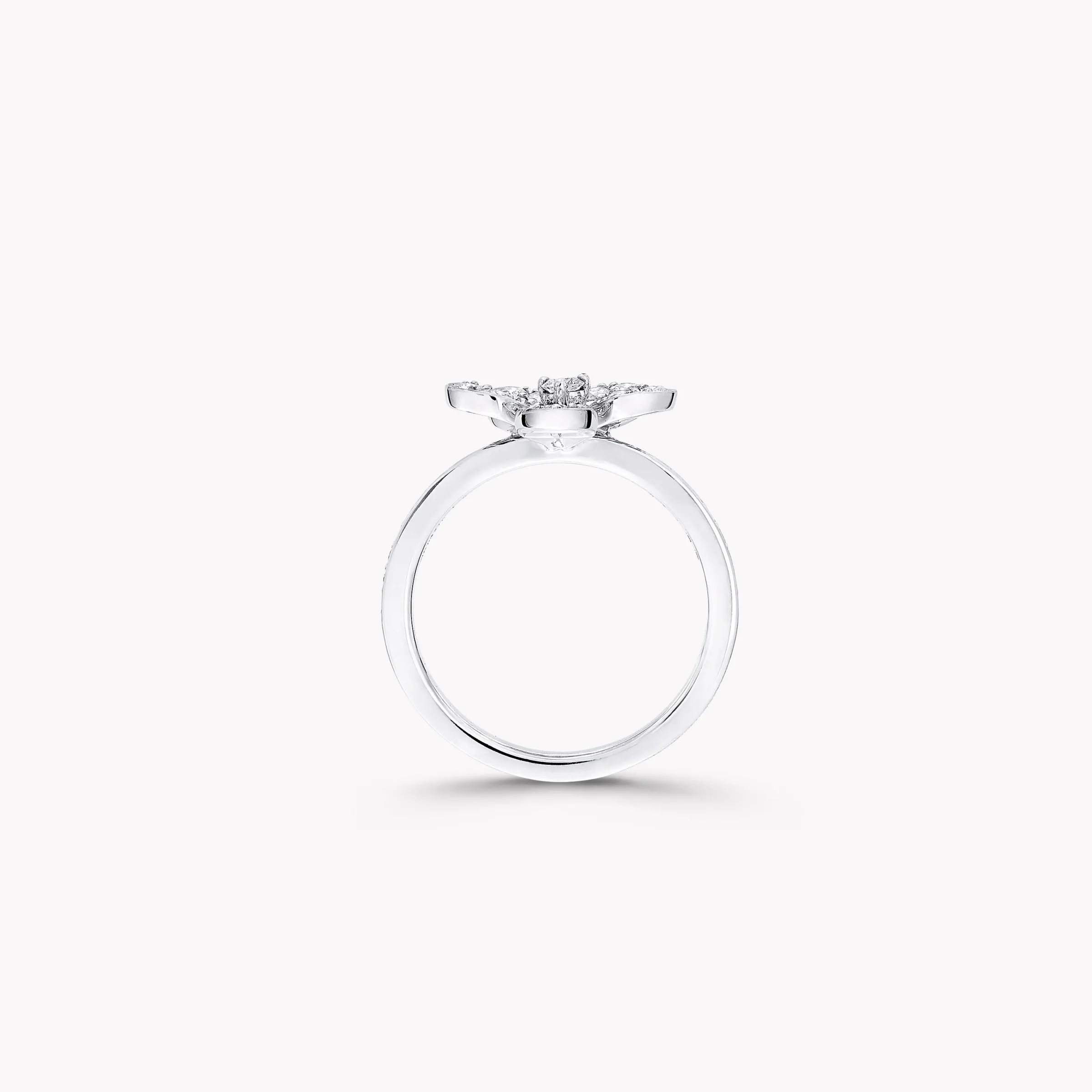 Graff Wild Flower Pavé Diamond Ring^ White Gold|Wild Flower