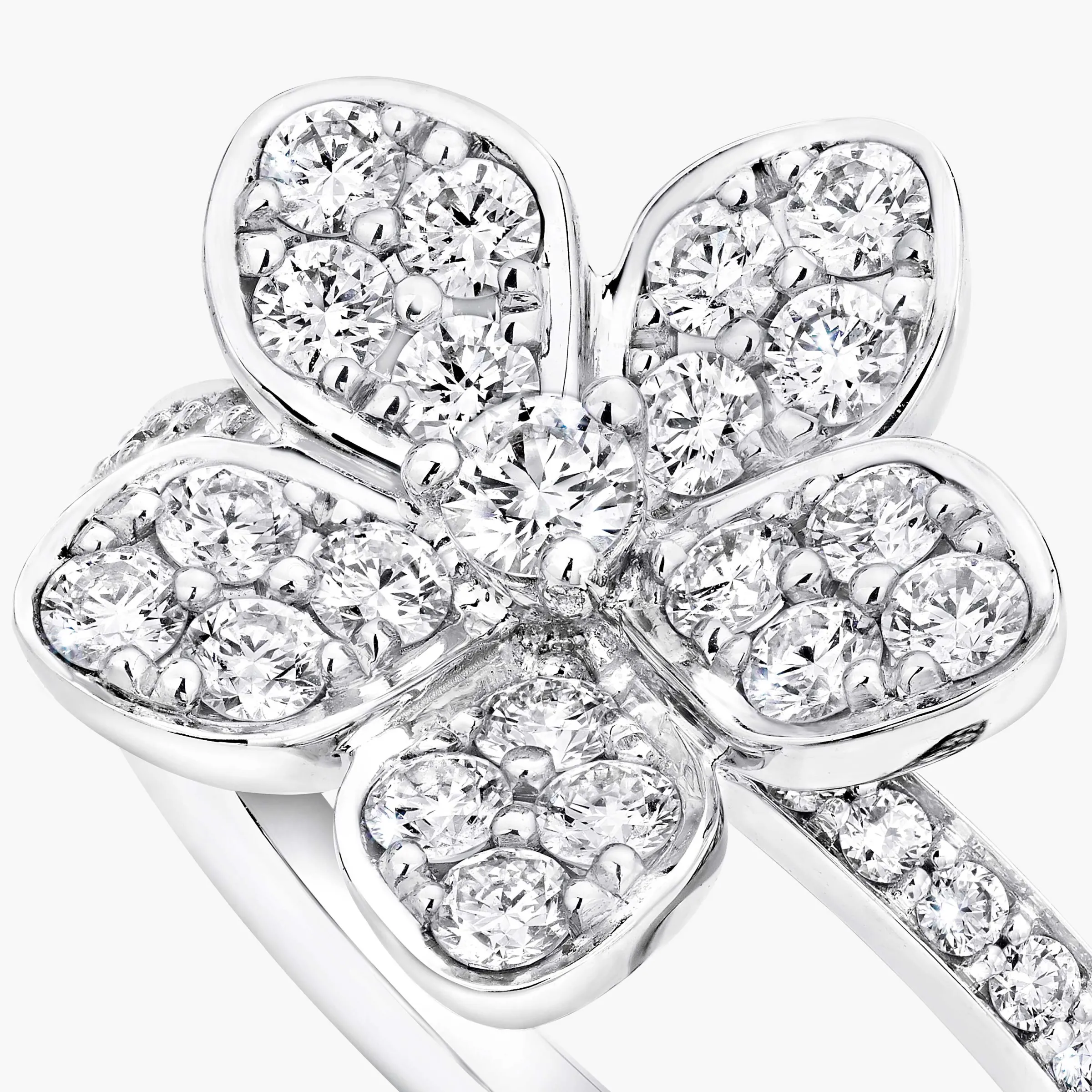 Graff Wild Flower Pavé Diamond Ring^ White Gold|Wild Flower